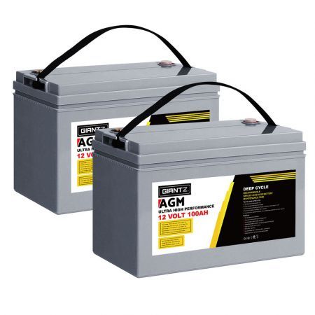 BATTERY-C-AGM-100X2